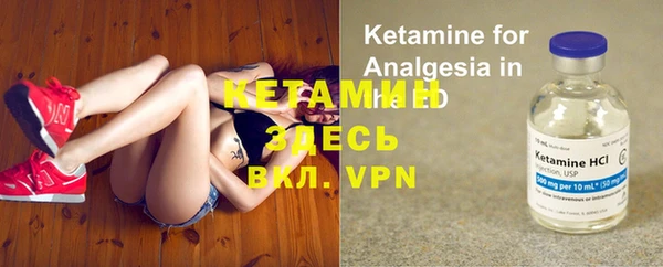 стафф Дмитриев