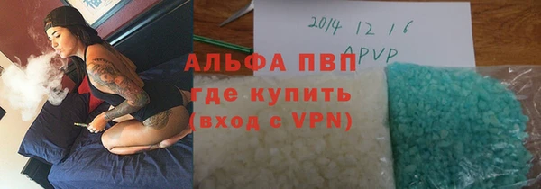 стафф Дмитриев