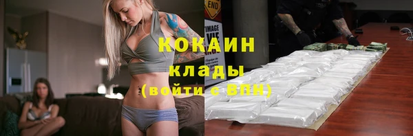 стафф Дмитриев