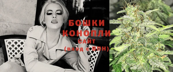 стафф Дмитриев