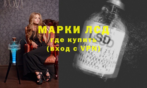 стафф Дмитриев