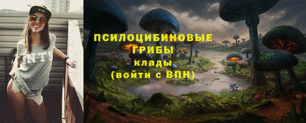 крисы Дмитровск