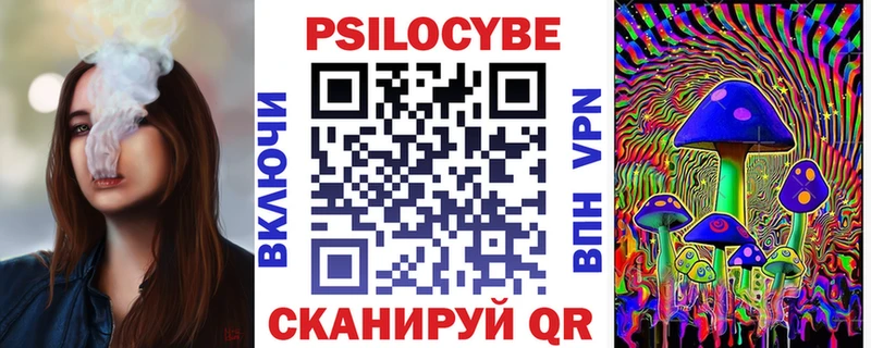 Купить закладки  Навашино  Псилоцибиновые грибы Cubensis 
